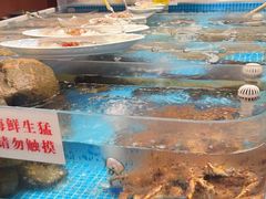 -味到1981日照海鲜·渔饺子