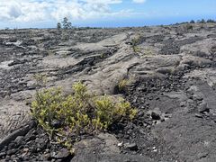 -夏威夷火山国家公园