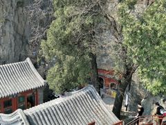 -北京鹫峰国家森林公园