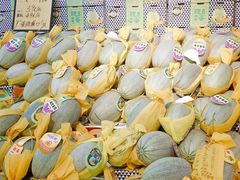 蜜瓜-鲜力达果品批发直销(青山店)