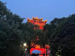 -黄鹤楼公园(黄鹤楼)