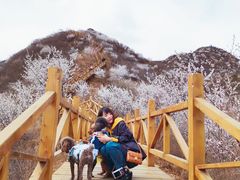 -大岭沟猕猴桃谷风景区
