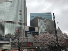 -不二家(数寄屋橋店)