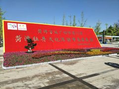 -曹州牡丹园