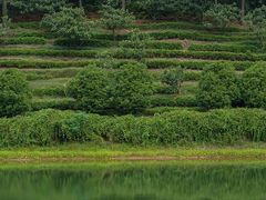 -九龙潭景区