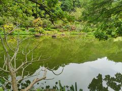 -深圳仙湖植物园