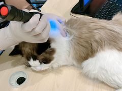 -萌兽医馆·眼科·异宠专科(三里屯店)