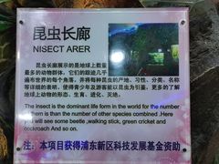 -上海大自然野生昆虫馆(东方明珠·爬宠昆虫探索中心)