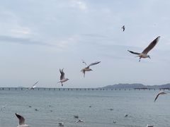 -青岛第二海水浴场