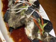 -必点海鲜·鲅鱼水饺(鞍山西道店)