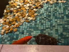 -手佳·水疗汇(嘉益店)