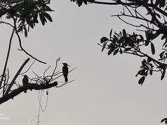 -沙美村