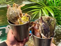 -亚马逊蒸汽活海鲜自助(LCM置汇旭辉广场店)