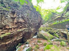 -五女峰国家森林公园