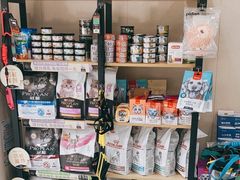 -安安宠医宠物医院·异宠·犬猫内科(岳阳分院)