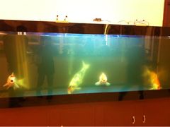 iphone_upload_pic-肥肥小厨(咸阳路店)