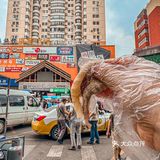 来西塔必来善奶奶!