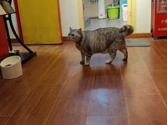 -H立方实景剧情密室(天河旗舰店)