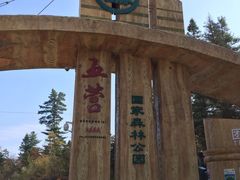 -五营红松林海景区