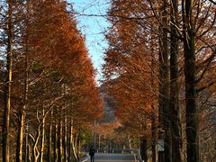 -泽雅景区