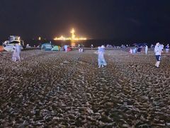 -南戴河旅游度假区