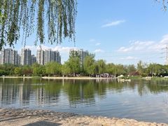 -太阳宫公园