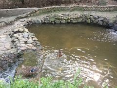 -燕塞湖鸟语林景区
