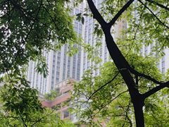 -成都市活水公园