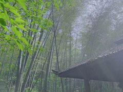 -南山风景名胜区
