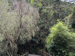 -千岛湖东南湖区