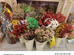 -100家灵感仓库·DIY团建(什刹海店)
