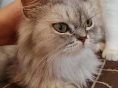 -万小咖.猫咖(中山路天虹店)