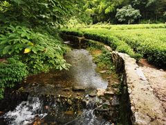 -杭州西湖风景名胜区-三生石