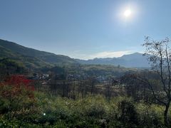 -塔川景区