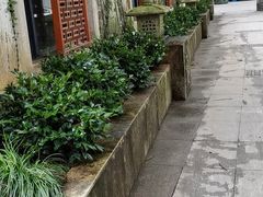 -楼外楼(玉泉店)