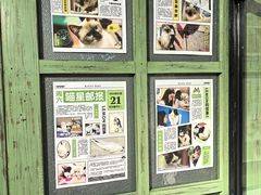 -猫咪博物馆(顶澳仔猫街店)