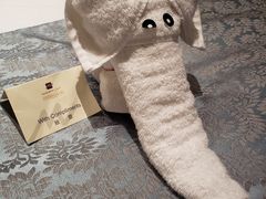-常州环球恐龙城维景国际大酒店