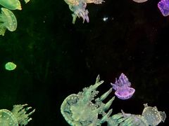 -欢乐海岸海洋奇梦馆