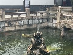 -上海醉白池公园