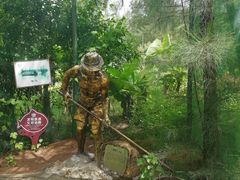 -北海金海湾红树林生态旅游区