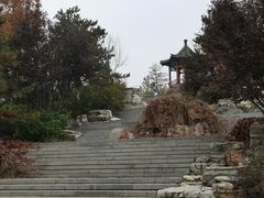 -大兴滨河森林公园