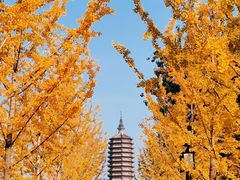 -西海子公园