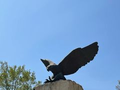 -北京鹫峰国家森林公园
