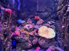 -石林冰雪海洋世界