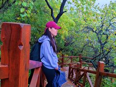 -大岭沟猕猴桃谷风景区