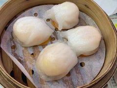 虾饺-澳门陈光记烧味饭店(万象城店)