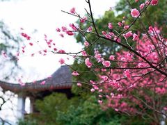 -苏堤停车场