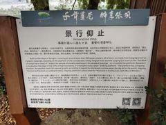 景点-张坝桂圆林公园