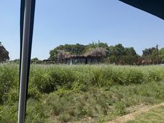-洪湖家庭农场·团建·露营·会议