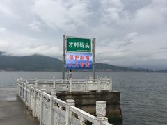 -才村湿地公园